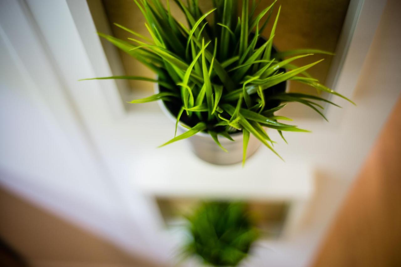 Apartament Wietora Wawelofts Kraków Exteriör bild