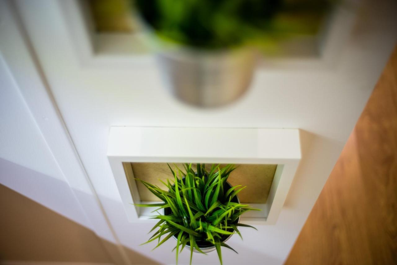 Apartament Wietora Wawelofts Kraków Exteriör bild